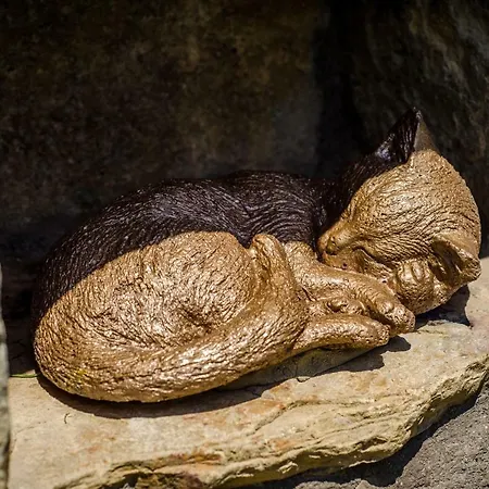 Borda Fuertes * Albella