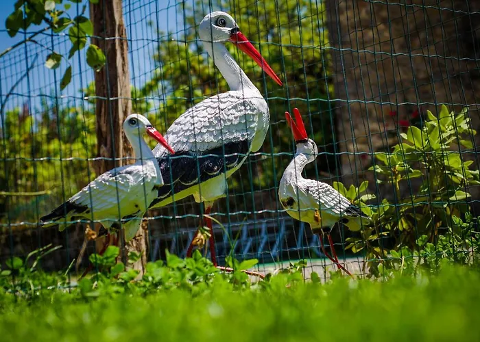 Borda Fuertes Albella