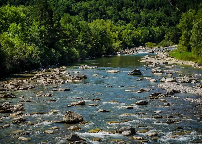 Borda Fuertes * Albella